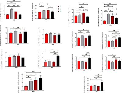 Corrigendum: Exercise and/or Cold Exposure Alters the Gene Expression Profile in the Fat Body and Changes the Heart Function in Drosophila